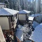 - Monte 4* Progled
