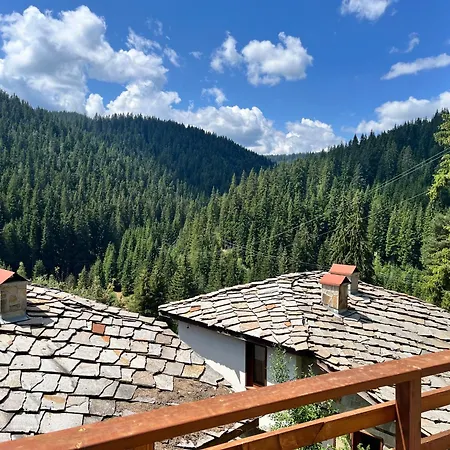 Gasthof - Monte 4*