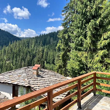 - Monte Gasthof 4*