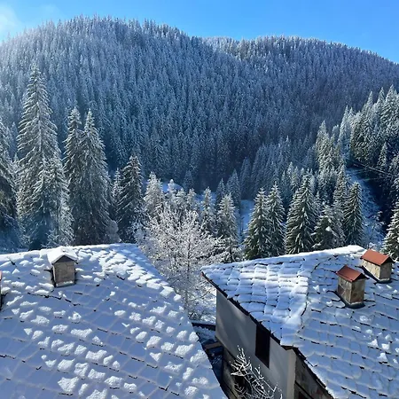 Gasthof - Monte 4*