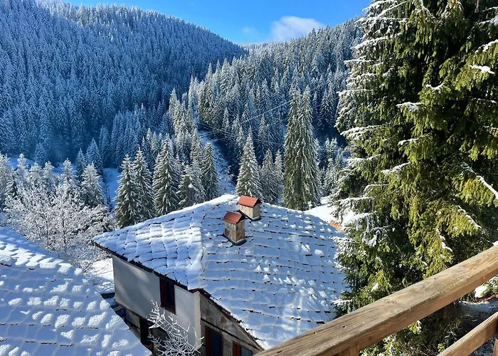 в село - комплекс божидарица 4а Progled