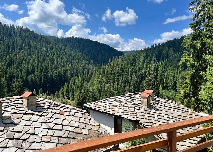 Pensión в село - комплекс божидарица 4а 4*