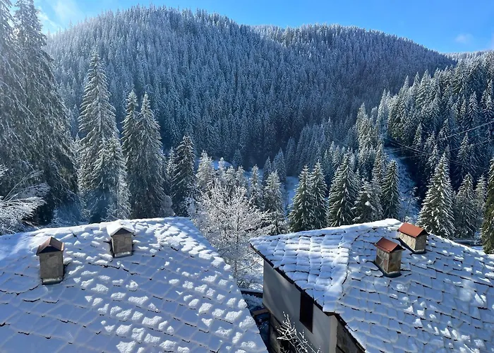 Pensión в село - комплекс божидарица 4а 4*